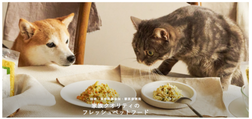 A promotional image by the company Petokoto Foods. 